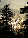 2011-01-15, Niederpoyritz+Pillnitz (10)